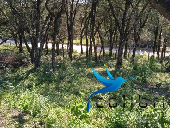 Imagem Terreno à Venda, 1.820 m² em Leão - Agudos Do Sul