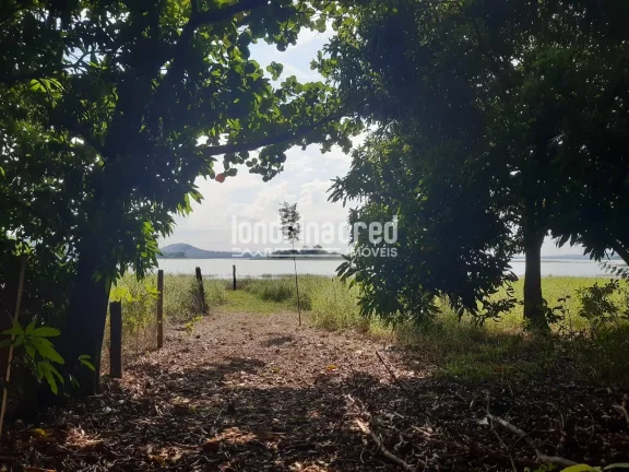 Chácara no Condomínio Piapara em Alvorada do Sul com 2.260m², 3 quartos, árvores frutíferas, café em produção, área cimentada e muito verde!