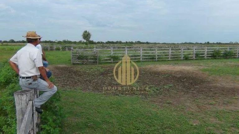 Imagem Fazenda no Pantanal