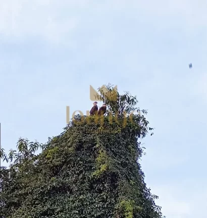 Imagem Apartamento a venda 2 Quartos financia Zona Sul-Sorocaba