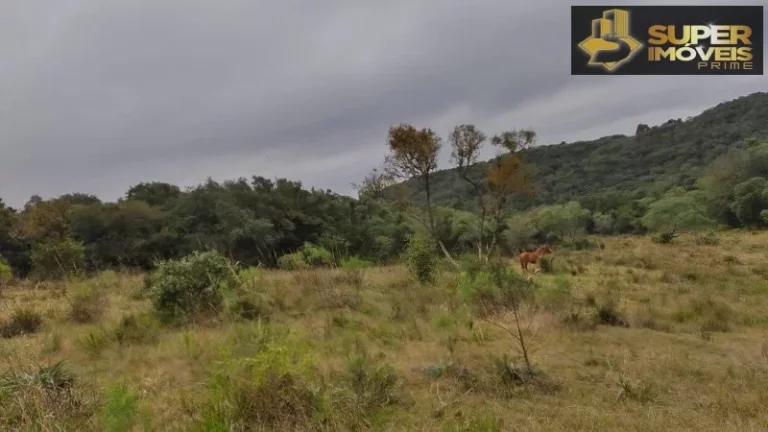 Imagem Fazenda para Venda em Centro Canguçu-RS - 2055