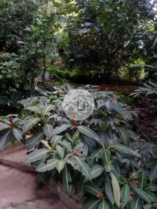 Imagem Sítio Engenheiro Paulo de Frontin, RJ