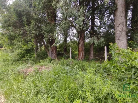 Imagem Terreno para aluguel, Ponta Grossa, Porto Alegre/RS. - TE2520