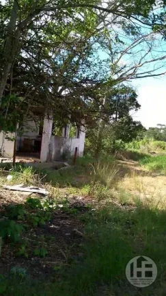 Imagem Chácara à venda com 8 hectares em Aldeia