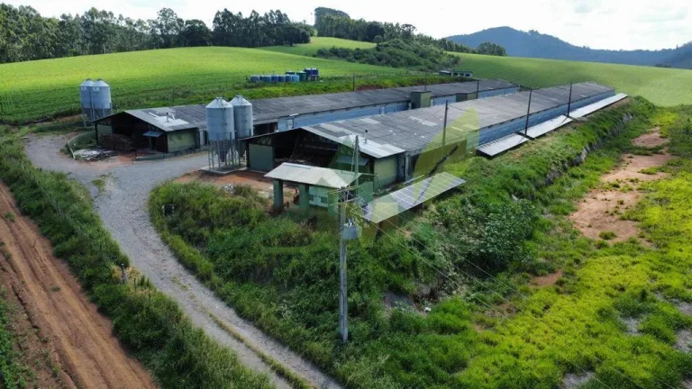 Imagem Fazenda com Diversas Aptidões em Bragança Paulista - SP com130 Alqueires