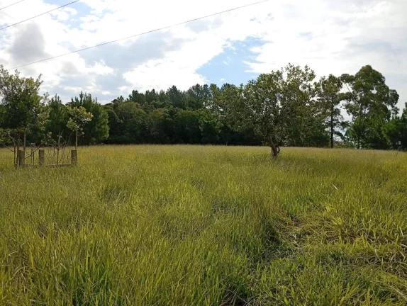 Imagem Sítio a venda com 9 Hectares, Passo da Areia, Viamão/RS