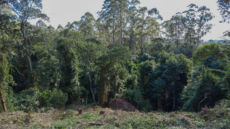 Imagem Terreno à venda - Itapevi/SP
