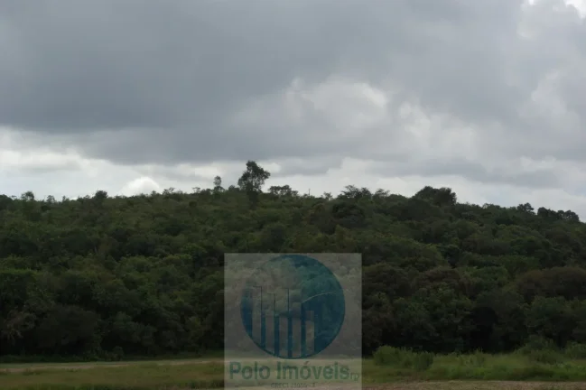 Imagem Sitio 8,23 alqueires ou 19,93 ha para compensação de Reserva, R$ 60 mil o alqueire - Jacuí - Minas Gerais.