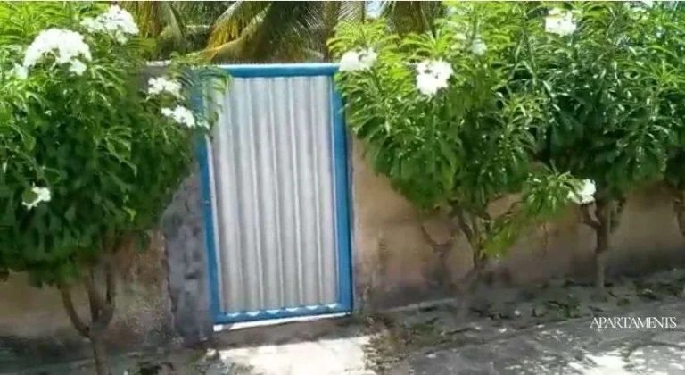 Imagem Casas e um verdadeiro sítio a Beira Mar na Praia de Lucena, você pode empreender