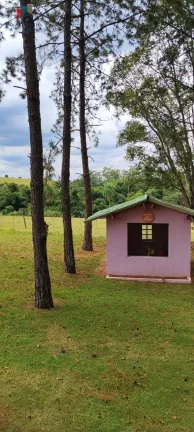 Imagem Sítio a venda Itapetininga SP