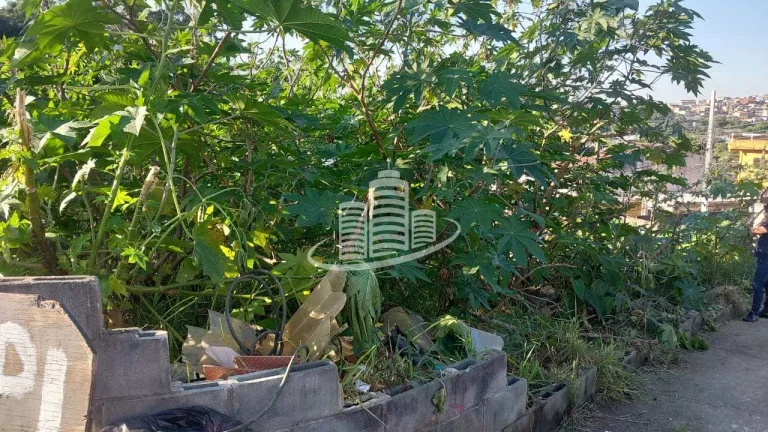 Imagem Terreno Padrão