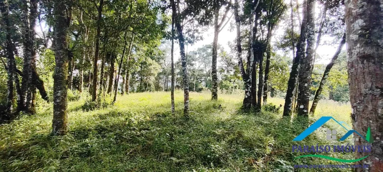 Imagem Terreno Exuberante no Bairro Campestre, Gonçalves – Serra da Mantiqueira