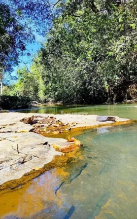 Chácara à venda em Cachoeirinha - Aragoiânia/GO
