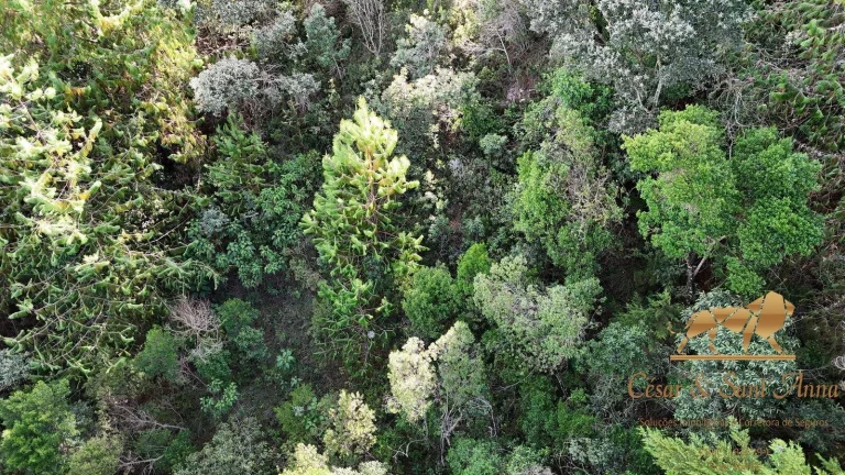 Imagem Terreno a venda em Campos do Jordão