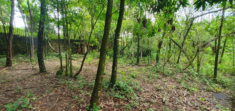 Imagem SITIO COMERCIAL em ESMERALDAS - MG, TURMALINAS