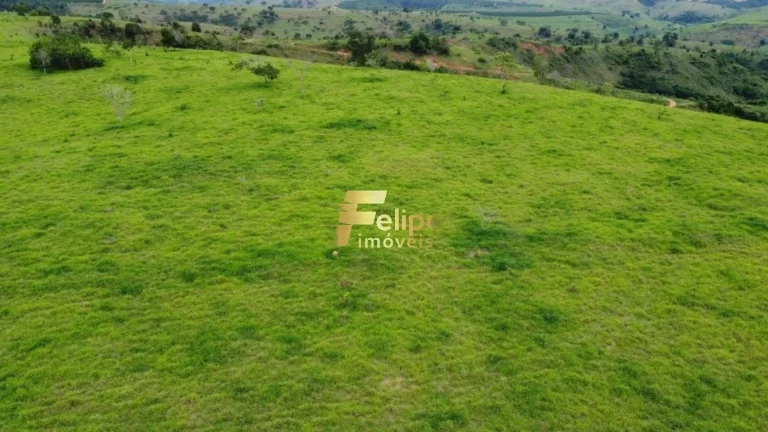 Imagem Fazenda 55 alqueires escriturada produtiva com muita água em Colatina.