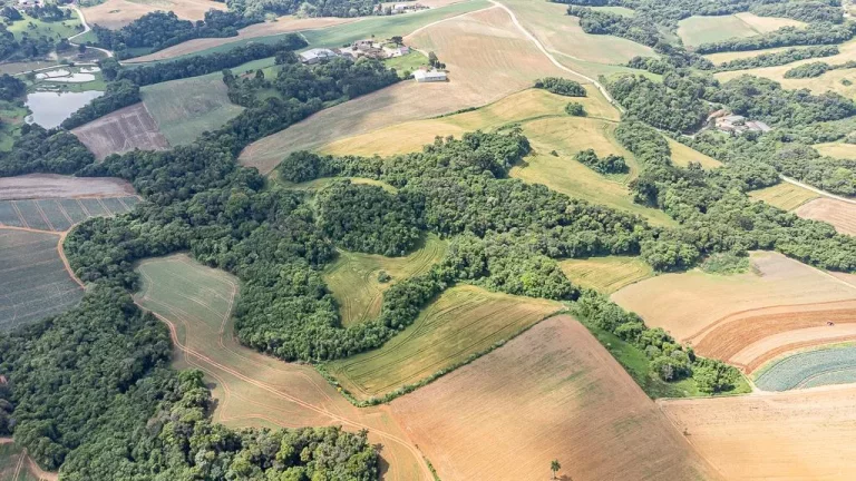 Imagem Chácara com 6 alqueires em Campo Magro