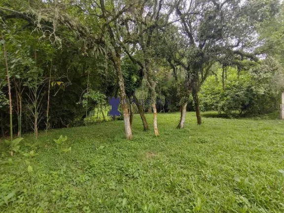 Imagem ÁREA RURAL COM 6.957,50M² EM BALSA NOVA
