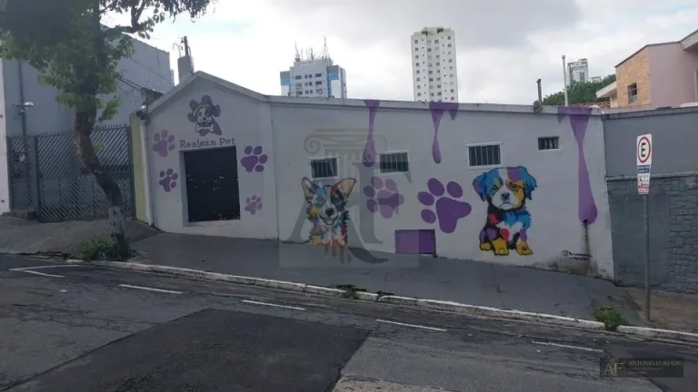 Imagem Comercial para alugar em Vila Gomes Cardim, São Paulo