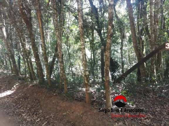 Imagem Terreno a Venda na Região da Vila Natal em Campos do Jordão- SP.