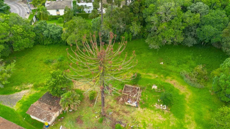 Imagem Terrreno Eduardo Sprada4250m2