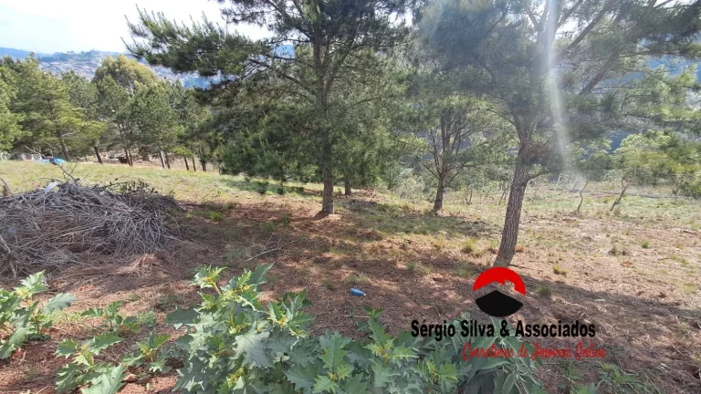 Imagem Terreno a Venda na Região do Atalaia em Campos do Jordão -SP.