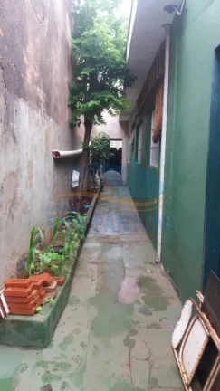 Imagem Edícula - Ribeirão Preto - Campos Elíseos - Região Norte