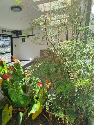 Imagem VENDO BELISSÍMA CASA DE DOIS PAVIMENTOS NO BAIRRO IPIRANGA - SP!