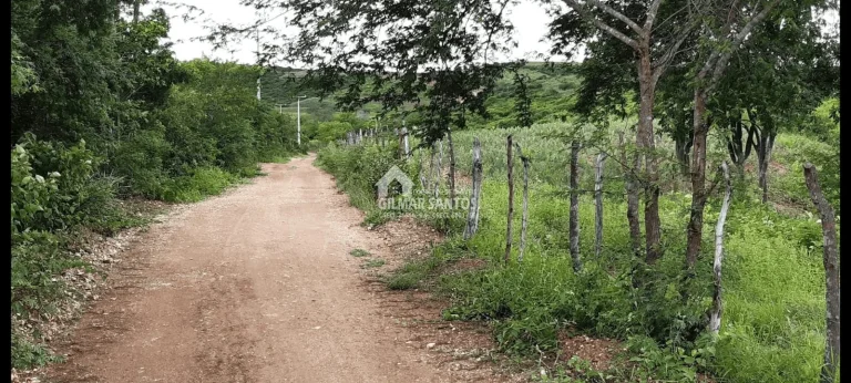 Imagem Lote/Terreno no bairro zona rural, em Sítio do Quinto