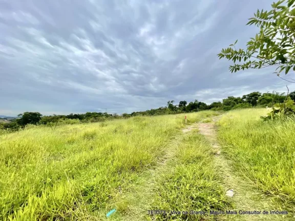 Imagem Lote 610 m² ZUM/CC - Bairro Gramado / Acesso pela Est. Mun. Walter Steurer