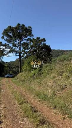 Imagem Chácara - Sítio com 2 Dormitorio(s) localizado(a) no bairro Linha Marcondes em Santa Maria do Herval / RIO GRANDE DO SUL Ref.:1513