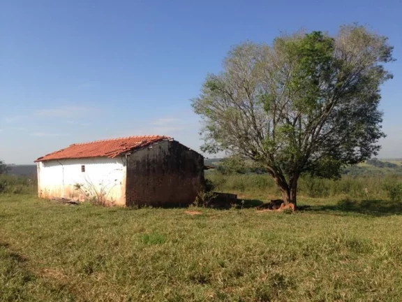 Imagem Sítio - Vende Promissão ( prox. Marília) e Região/SP