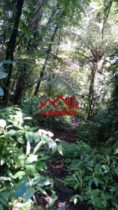 Imagem Terreno 30.000m à Venda na Praia de Maresias - São Sebastião SP.