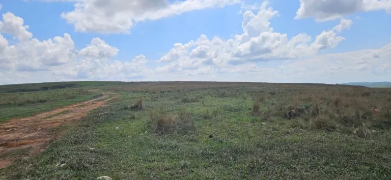 Imagem FAZENDA À VENDA EM DELFINÓPOLIS - MG COM 430 ALQUEIRES
