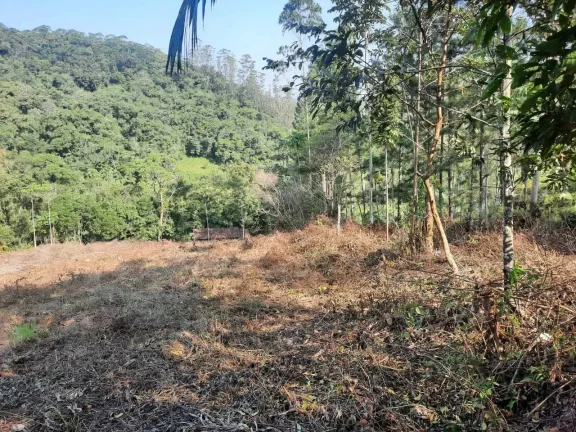 Imagem Terreno rural com 3.000 m² no Bairro Alto Pitanga, Nova Trento/SC