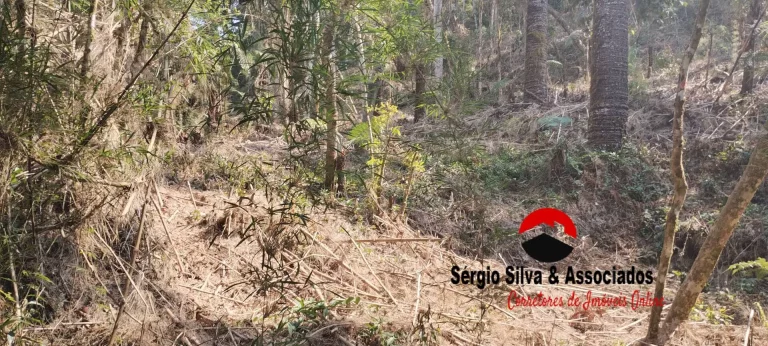 Imagem Terreno a Venda na Região do Alto da Boa Vista em Campos do Jordão -SP.