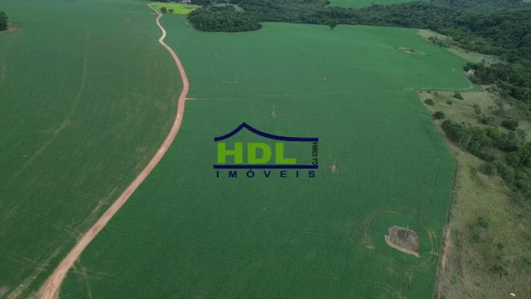 Fazenda 70 Alqs Dupla Aptidão plantada em Soja em Bela Vista GO