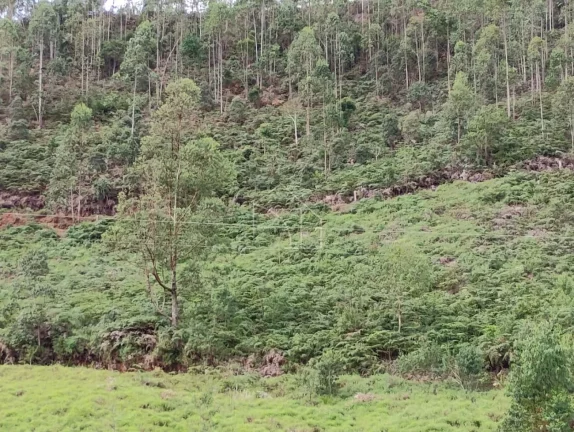 Imagem Terreno à Venda – 56.000 m² | São Bento de Urânia – Alfredo Chaves (ES)