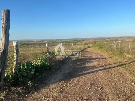 Imagem Fazenda/Sítios/Chácaras no bairro zona rural, em Coronel João Sá