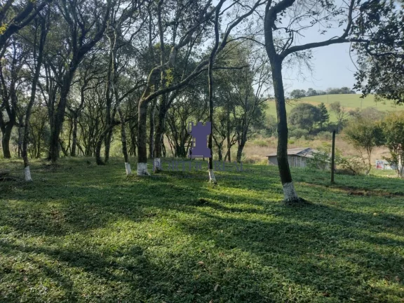 Imagem ÁREA EM BALSA NOVA COM 13.530,10M²