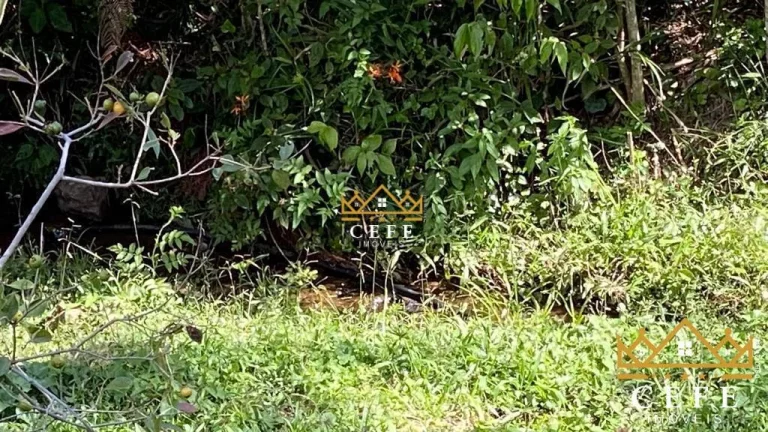Imagem Chácara - Sítio com 1 Dormitorio(s) localizado(a) no bairro Padre Eterno Ilges em Santa Maria do Herval / RIO GRANDE DO SUL Ref.:1267