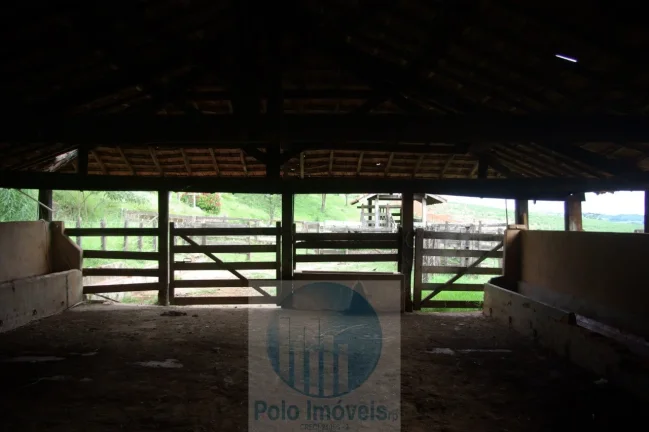 Imagem Fazenda em Cajuru 65,2254 alqueires com 35 alqueires em cana - a 78 km de Ribeirão Preto - SP sentido Casa Branca