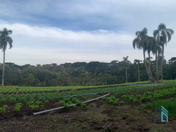 Imagem Terreno LIMPO plano 21.000 mil m², a venda no Umbará em Curitiba - PR