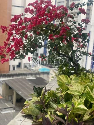 Imagem 3qts., 1suite, 1vaga, 110m² em Boa Viagem - OPORTUNIDADE