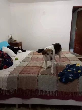 Imagem LINDA CASA A VENDA EM NOVA FRIBURGO - PARQUE SÃO CLEMENTE.