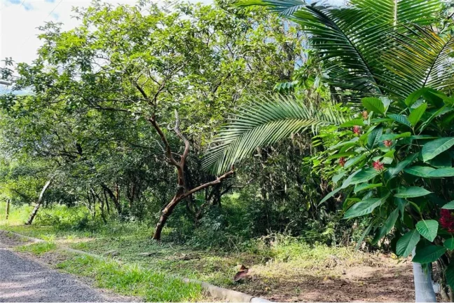 Imagem CMCF 2 Lote 612651033-85 - Terreno à venda no bairro Centro - Nova Santa Rita/RS