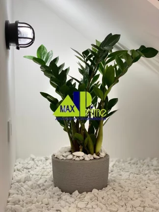 Imagem CASA RESIDENCIAL em SÃO PAULO - SP, JARDIM POPULAR
