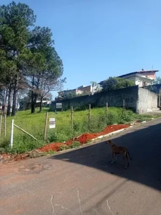 Imagem Terreno à venda, 216 m² por R$ 220.000,00 - Cidade Edson - Suzano/SP
