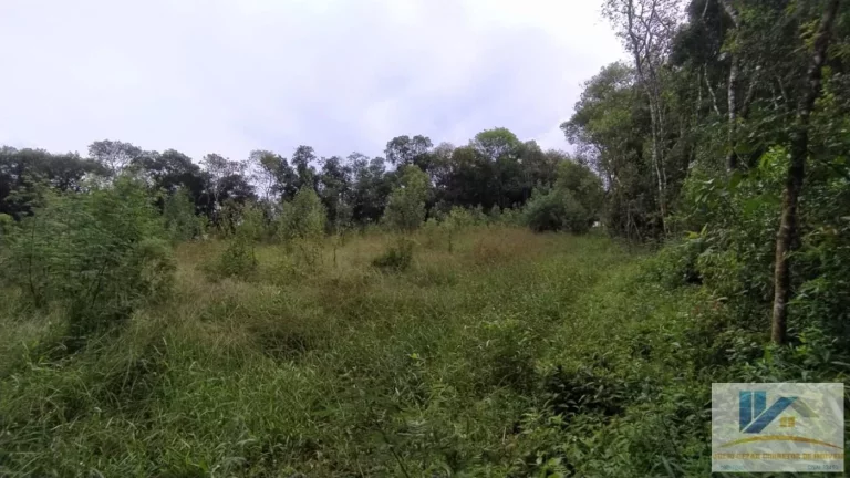 Imagem Terreno para Venda em São José dos Pinhais, Campestre da Faxina