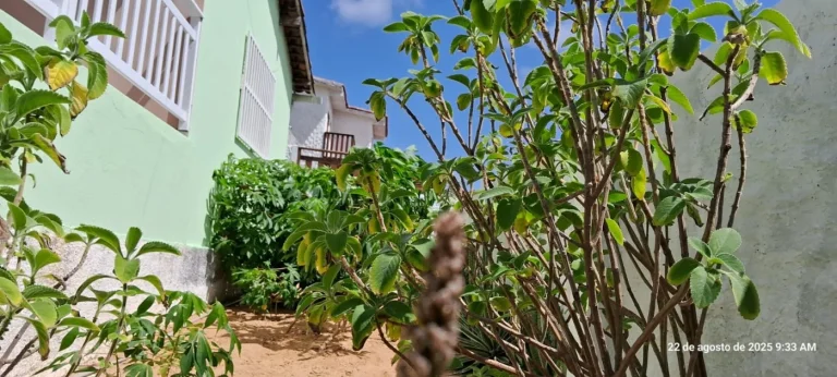 Imagem Casa para Locação em Baía Formosa / RN no bairro Alto dos Marajas